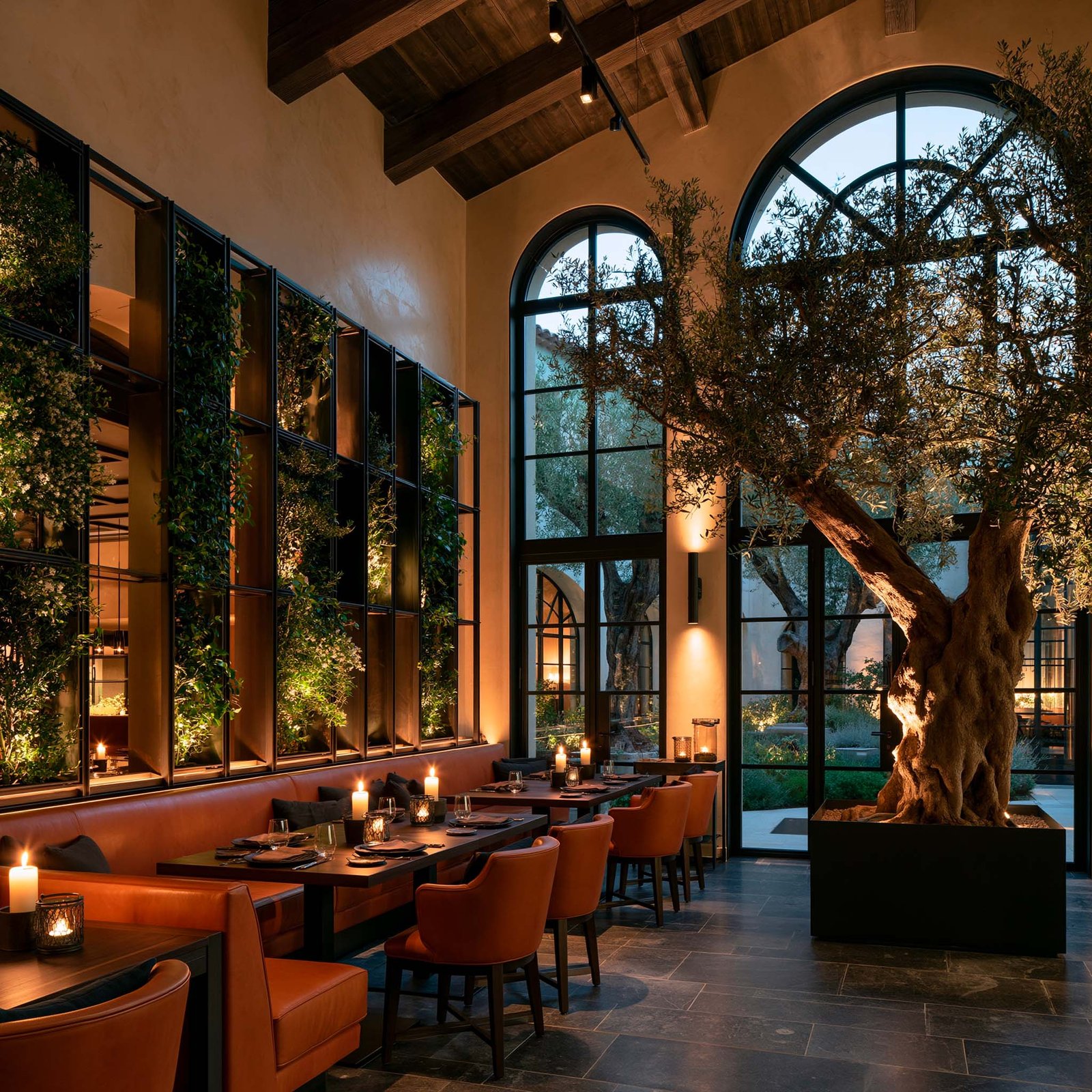 Salle de restaurant boutique : mur végétal vertical et oliviers intérieurs