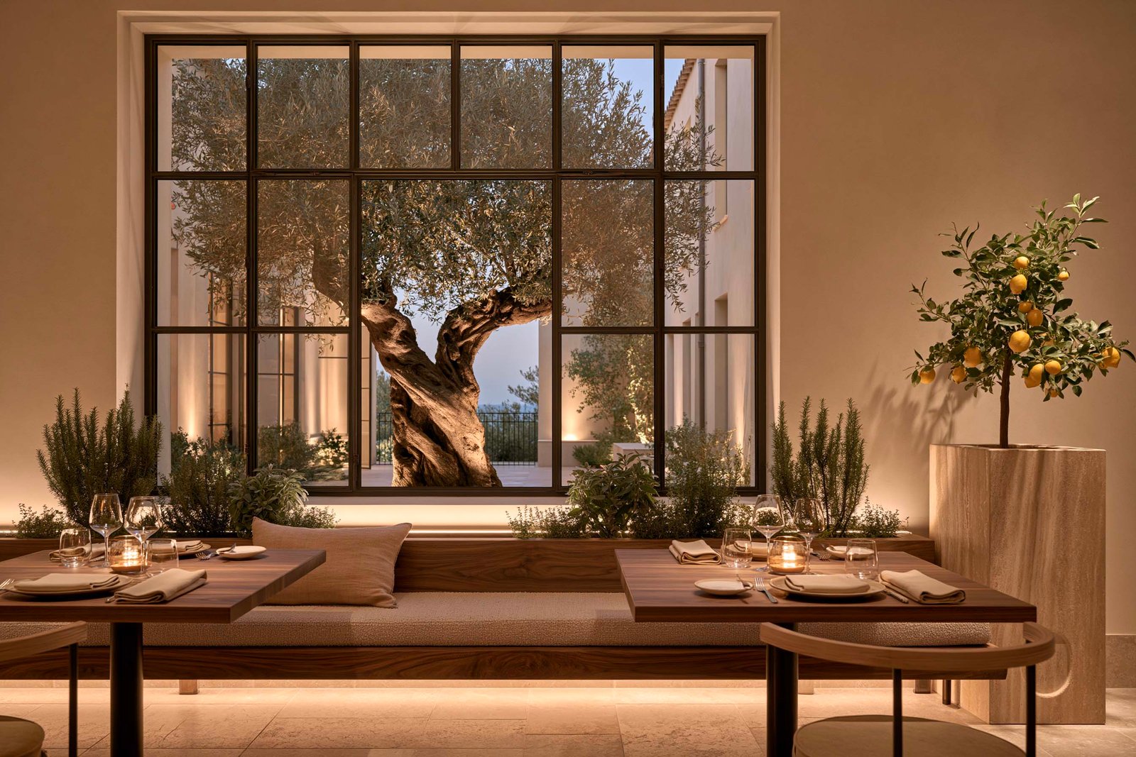 Salle de restaurant d’un hôtel boutique de la Côte d’Azur au crépuscule — haute baie à profilés fins d’acier bruni cadrant un Olea europaea centenaire au tronc torsé éclairé depuis le sol dans la cour, murs en stucco lustro crème laissés nus, longue banquette-jardinière Lignum™ en noyer fumé taillée d’un seul tenant courant sous la baie, plantation émergeant d’une auge creusée dans la masse sans pot visible — Rosmarinus officinalis dressé, Salvia officinalis en masses compactes et Thymus en bordure basse, conduits en trois strates de hauteur à hauteur de cueillette —, lignes LED 2700K en réserve sous l’auge et sous l’assise dont la lueur rase le sol de travertin adouci, deux tables de noyer dressées de lin écru et de bougies allumées, Citrus × limon aux fruits mûrs émergeant d’un monolithe de travertin évidé — le seul accent de couleur vive —, convives suggérés, aucune personne — Paracelsus Gardens™