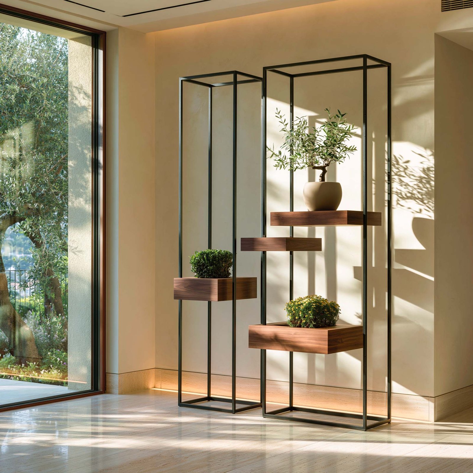 Lumière — partition signature Hortus Velum™ dans une villa contemporaine à Èze, montants verticaux fins en acier noirci portant trois tablettes flottantes en noyer fumé en stratification asymétrique, jeune Olea europaea en port vertical libre, mound compact de Buxus sempervirens et masse basse d’Helichrysum italicum, lumière naturelle filtrée traversant la composition et projetant des ombres architecturales sur le sol travertin.