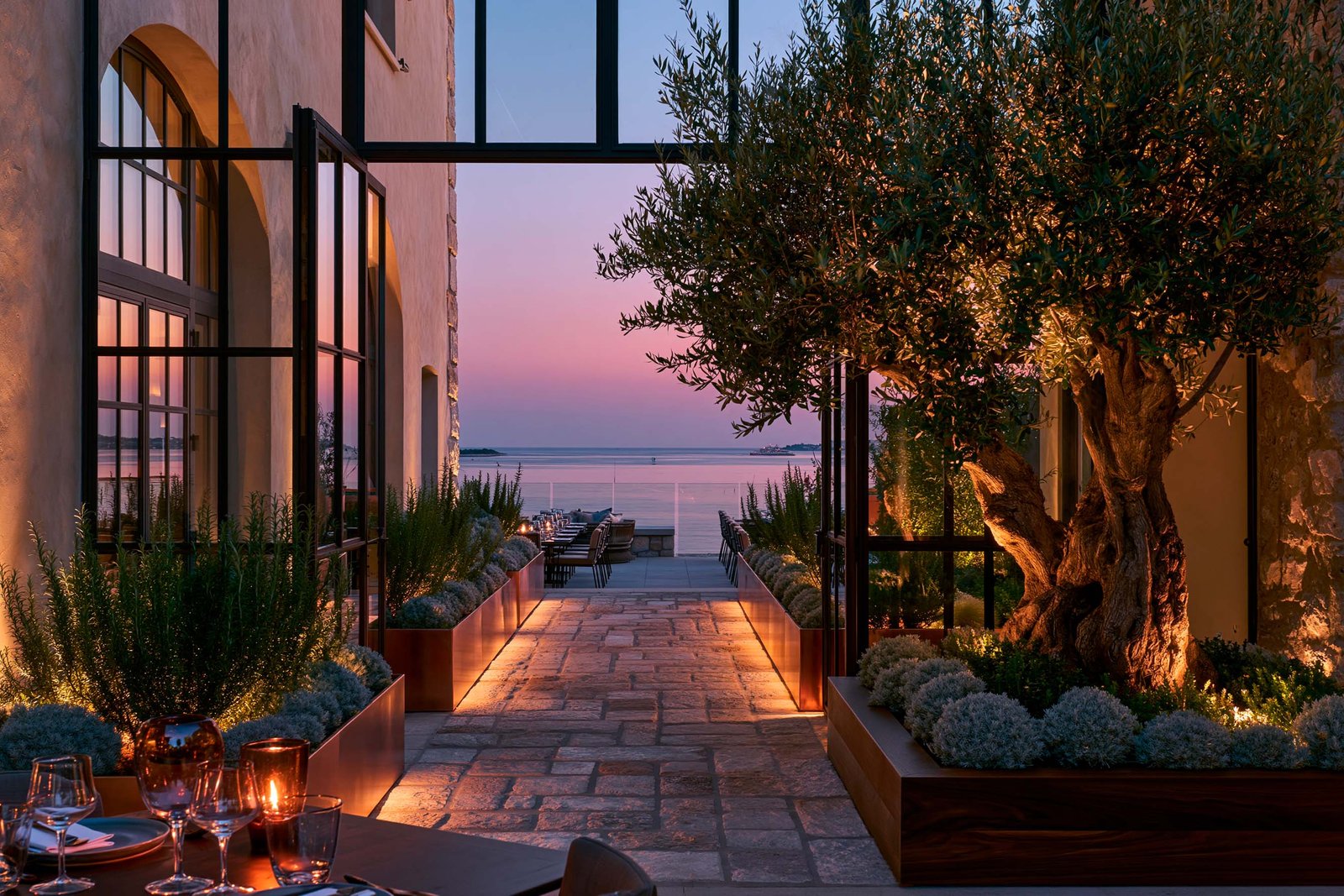 Vue depuis l’intérieur d’un restaurant à Beaulieu-sur-Mer vers la terrasse au crépuscule, olivier dans jardinière Lignum éclairée, jardinières cuivre patiné de romarin et helichrysum, ciel rose-mauve sur la Méditerranée.
