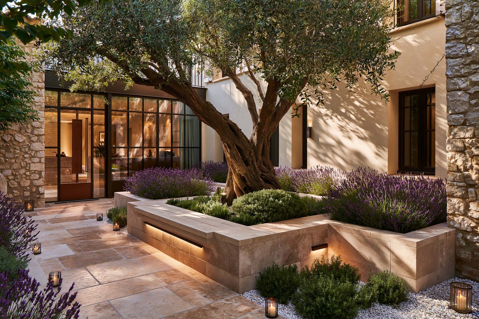 Cour aromatique d’activation d’un spa à Saint-Paul-de-Vence, olivier mature centré, masses de Lavandula angustifolia et Rosmarinus officinalis en bacs maçonnés pierre claire, banc en pierre intégré.
