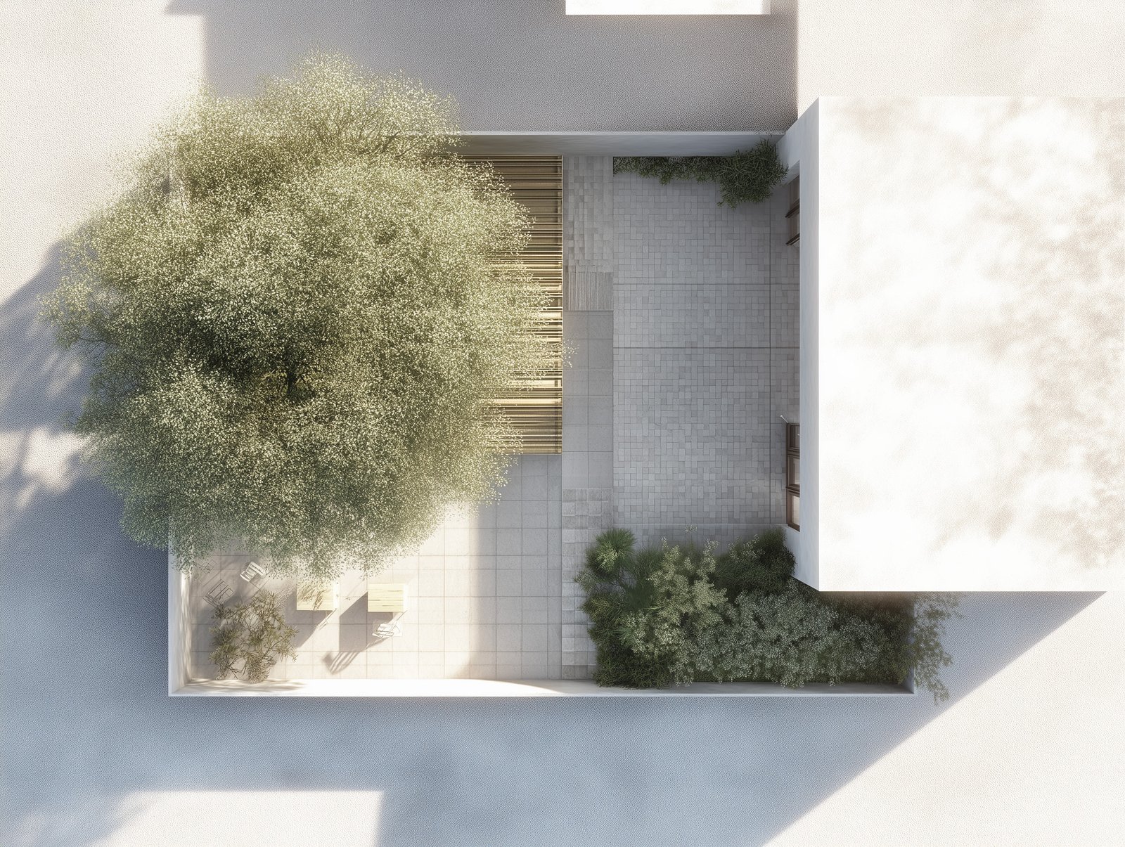 Lecture du site : points d’ancrage botaniques