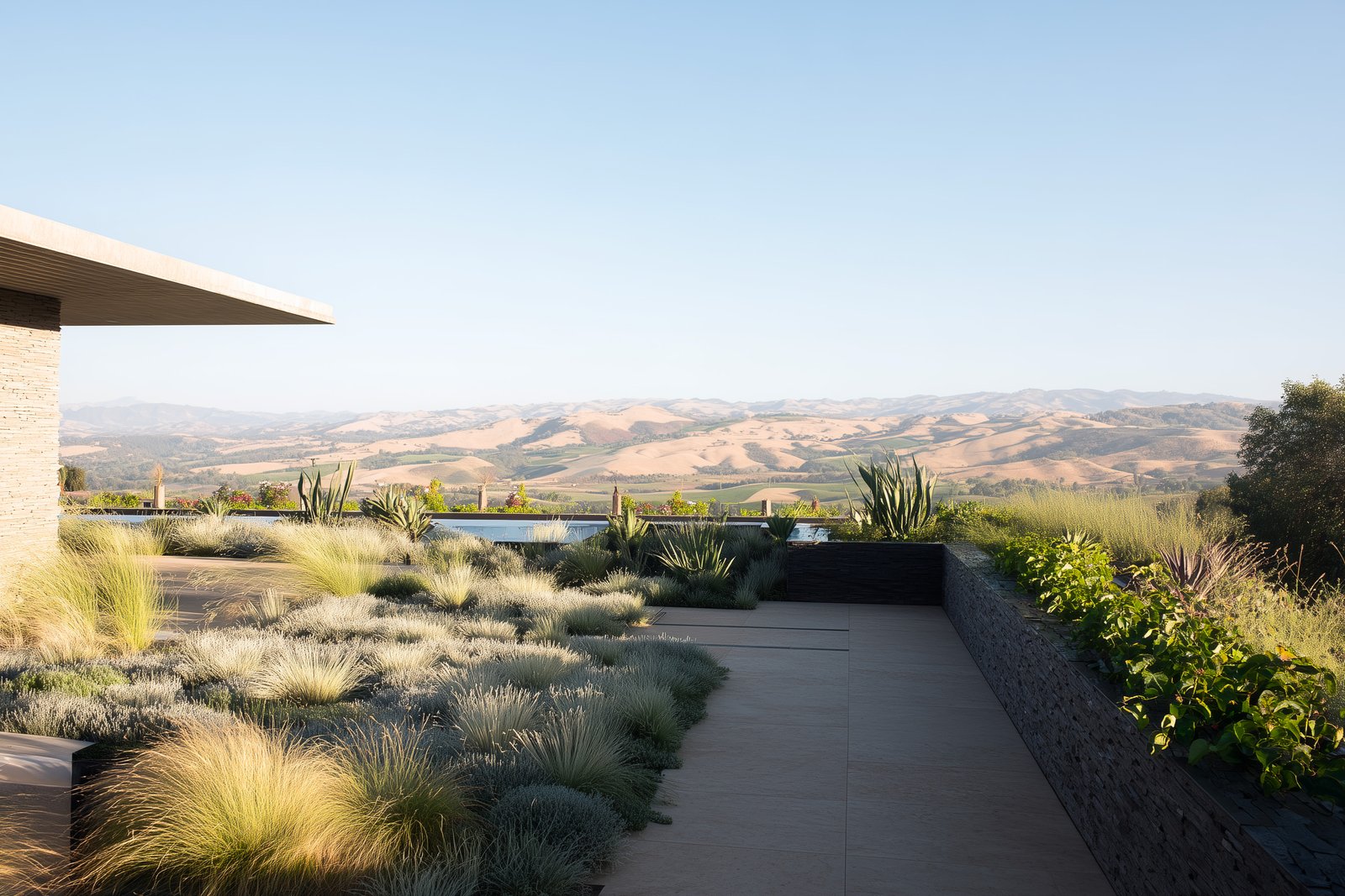 Continuité : une présence botanique à l’échelle du lieu