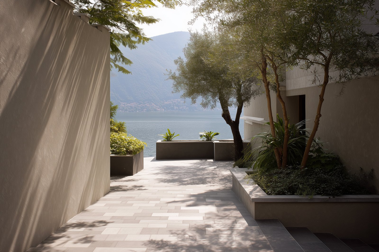 Lumière du jour : motifs d’ombre filtrés par le feuillage